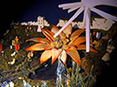 %_tempFileName028%20presepio%202006%20%